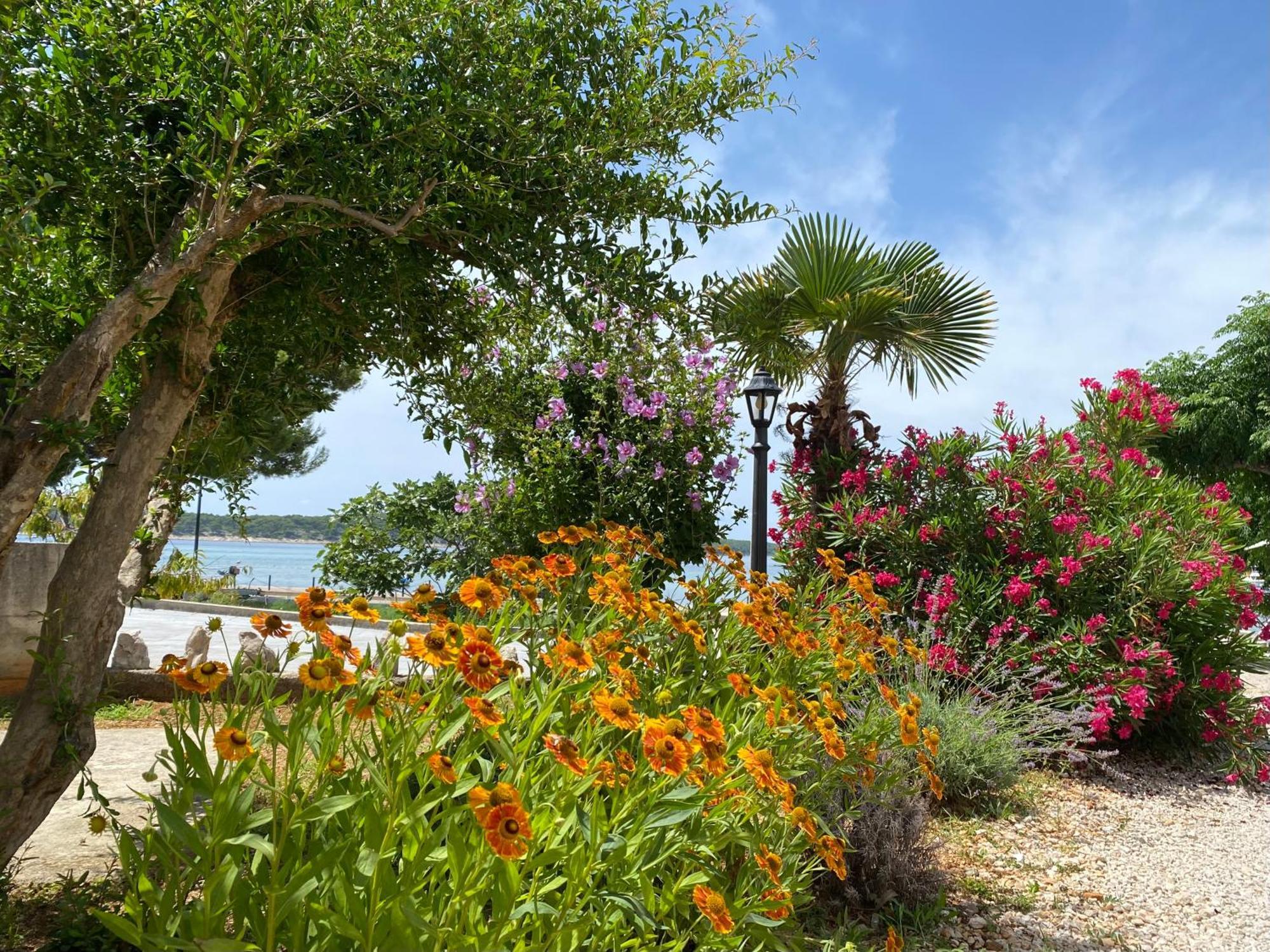 Apartments And Rooms Villa Luci Barbat na Rabu Экстерьер фото